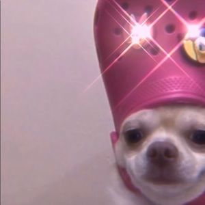 Meet your Posher, Cate